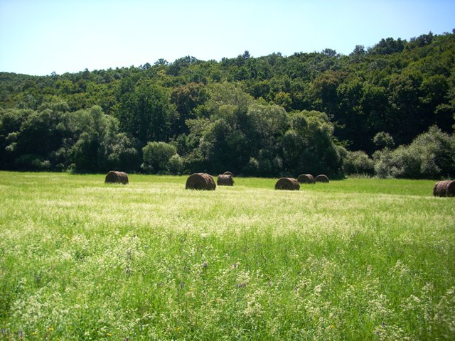 Túrafotó