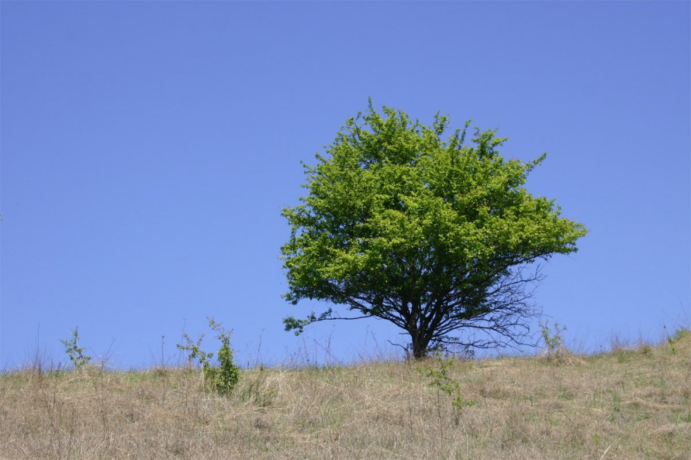 Túrafotó