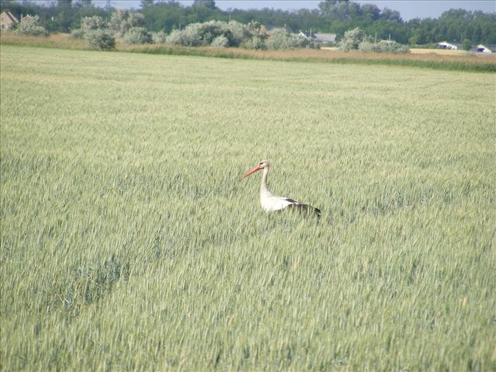 Túrafotó