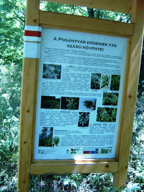 Túrafotó