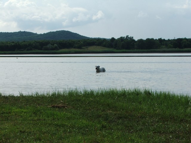 Túrafotó