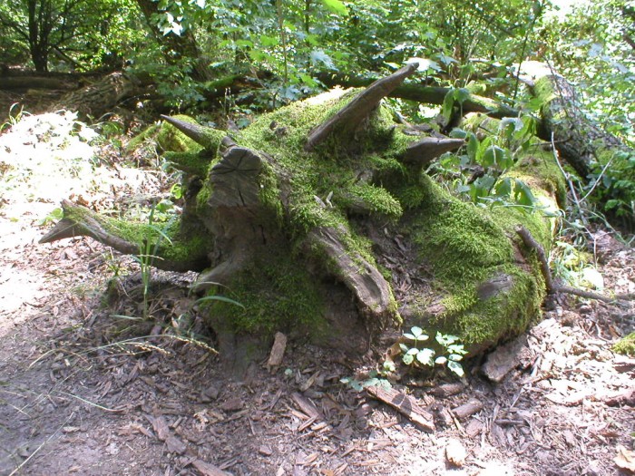 Túrafotó
