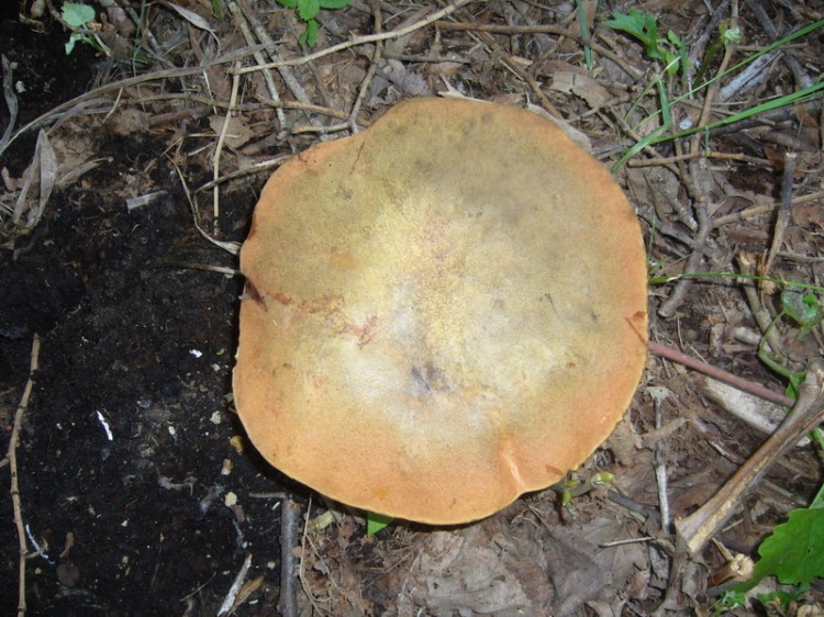 Túrafotó