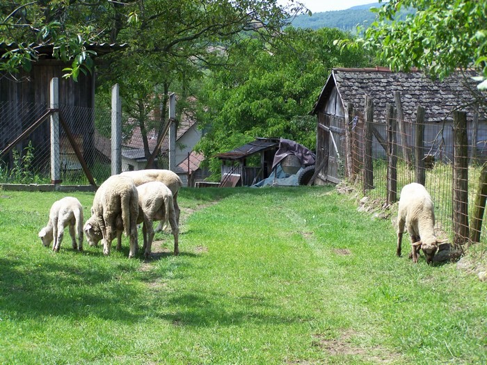 Túrafotó