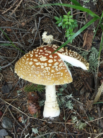 Túrafotó