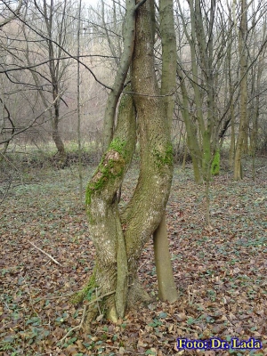 Túrafotó