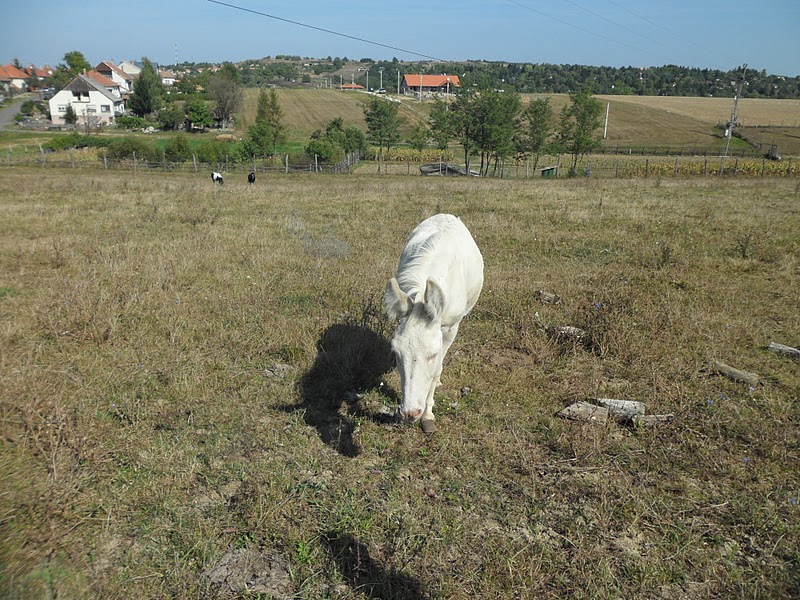 Túrafotó