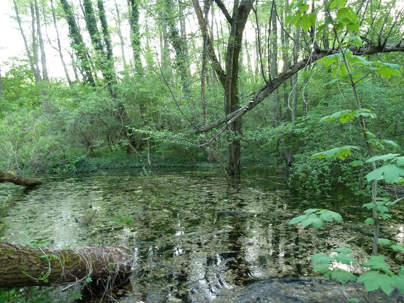 Túrafotó