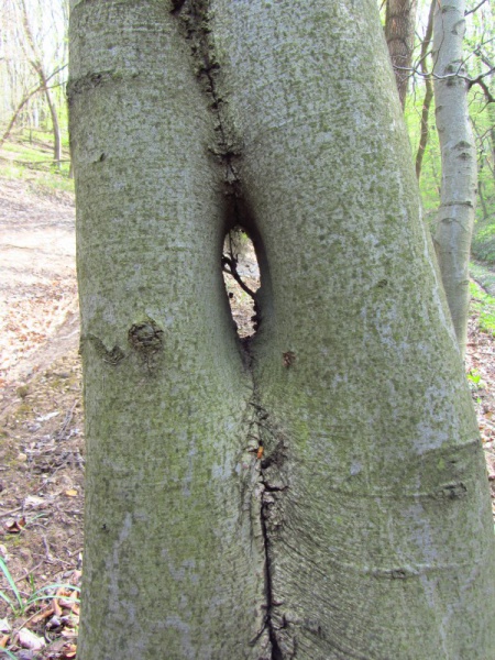 Túrafotó