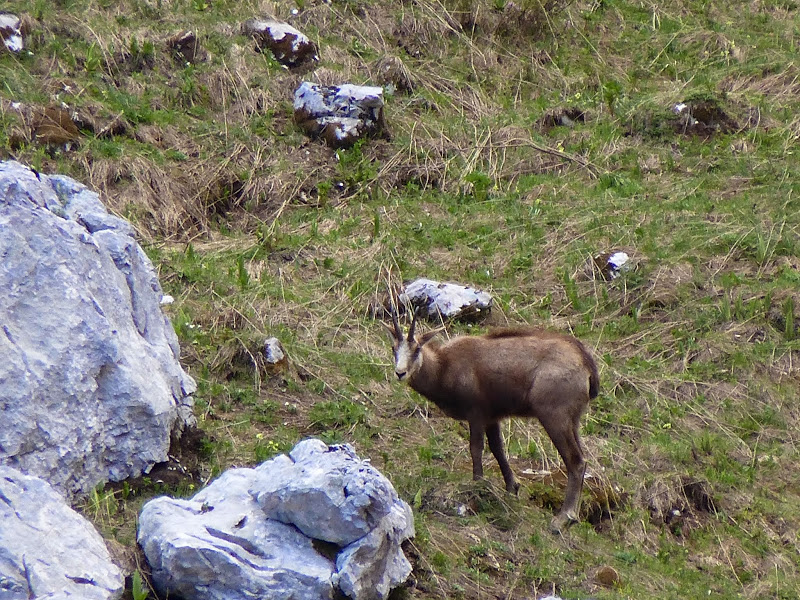 Túrafotó