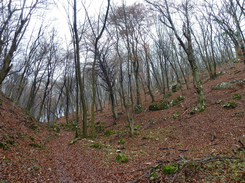 Túrafotó